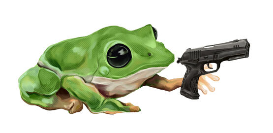 "frog gun". august 2021.